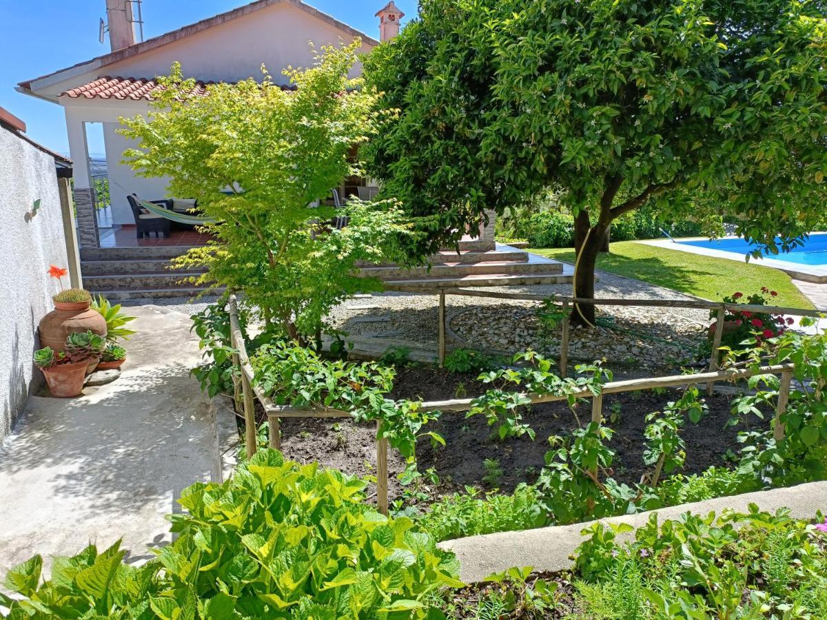 Casa Da Gardunha Villa Corticada  Eksteriør billede