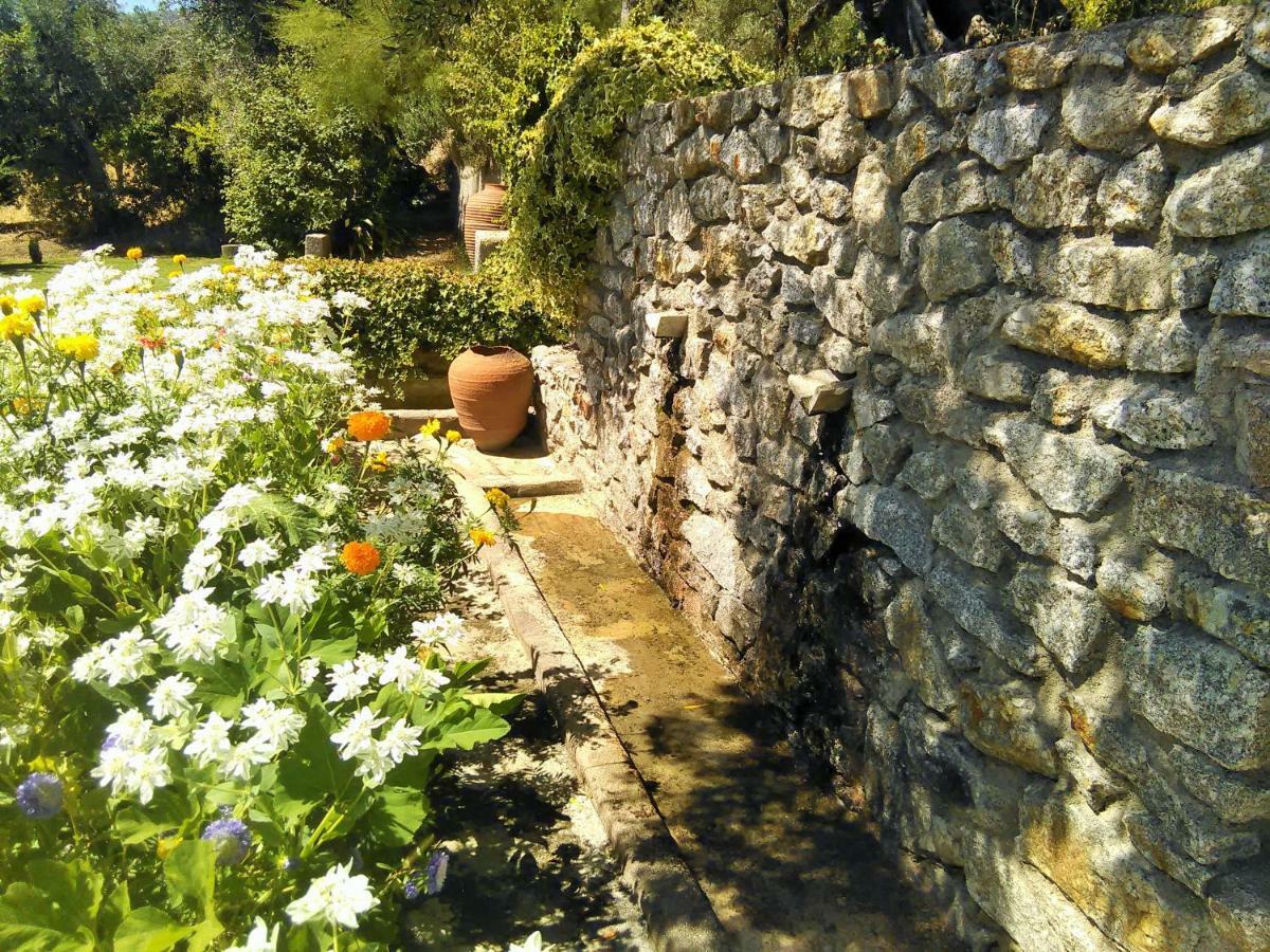 Casa Da Gardunha Villa Corticada  Eksteriør billede